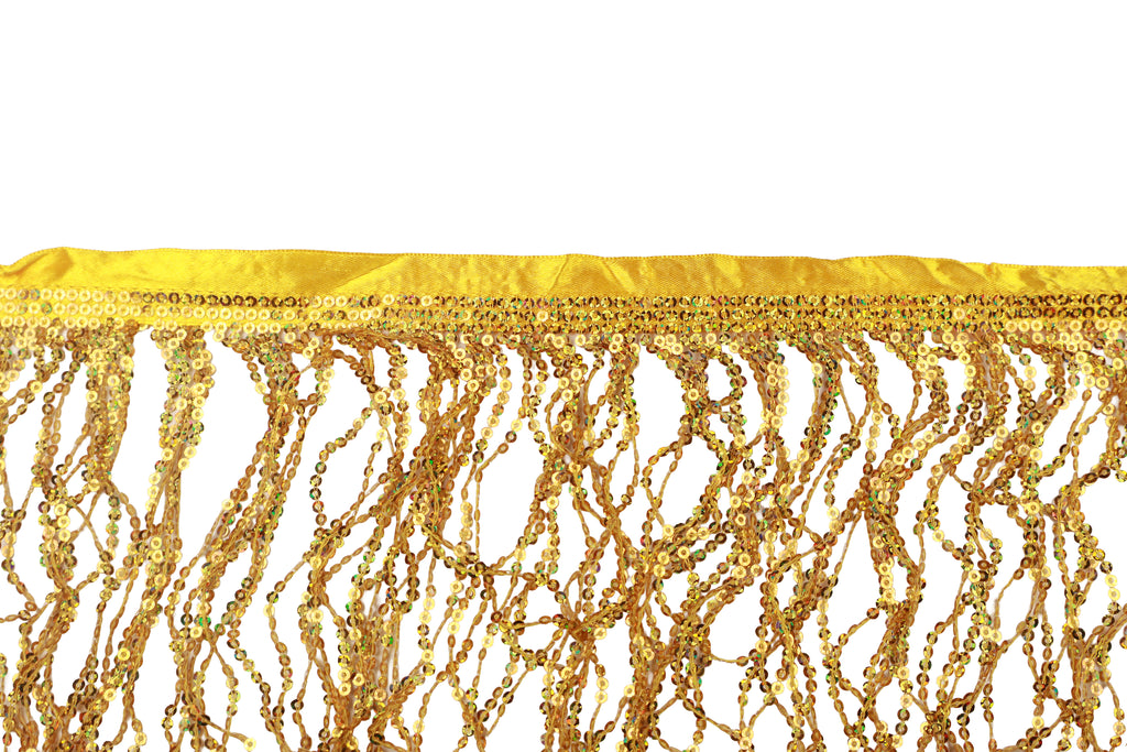 Sequin Fringe