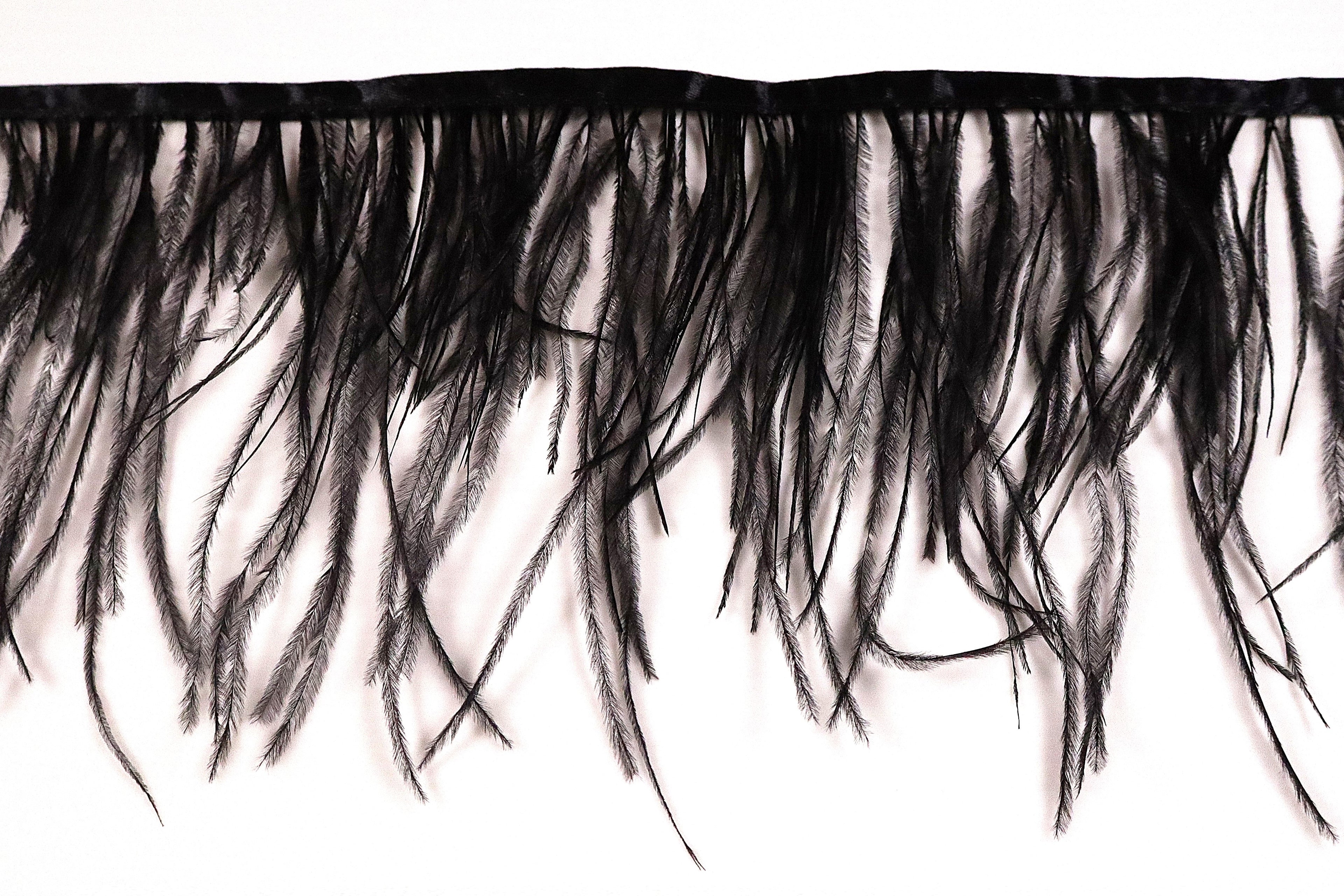 Ostrich Feather Fringe