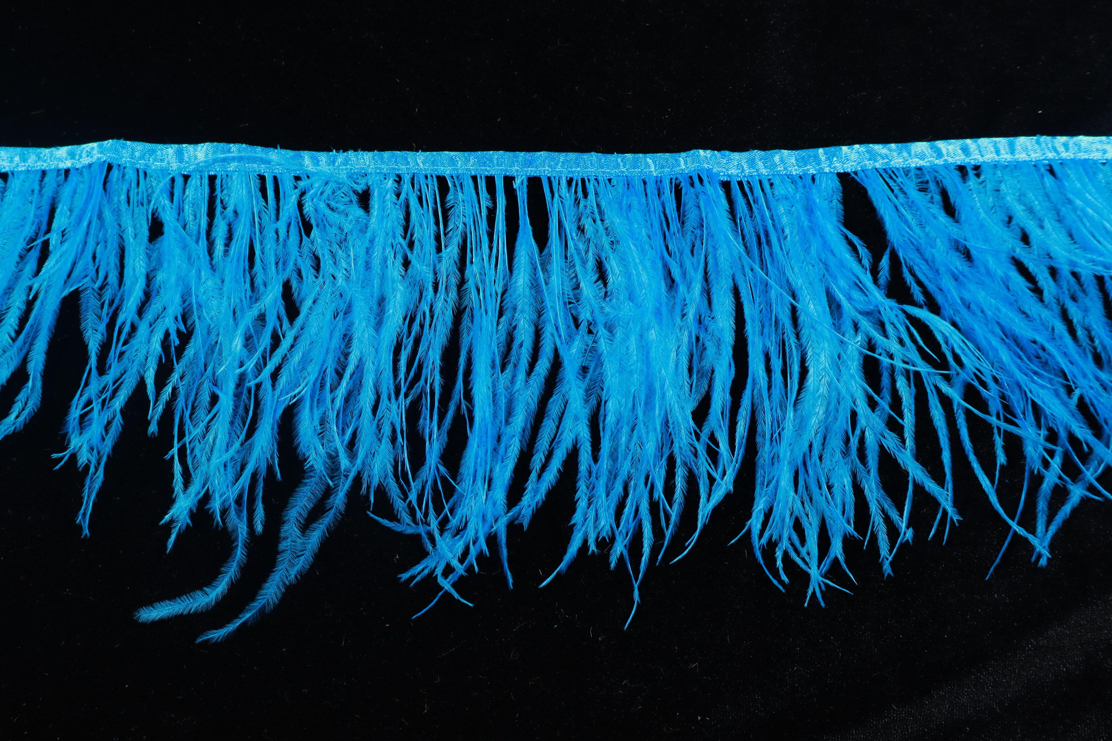 Ostrich Feather Fringe