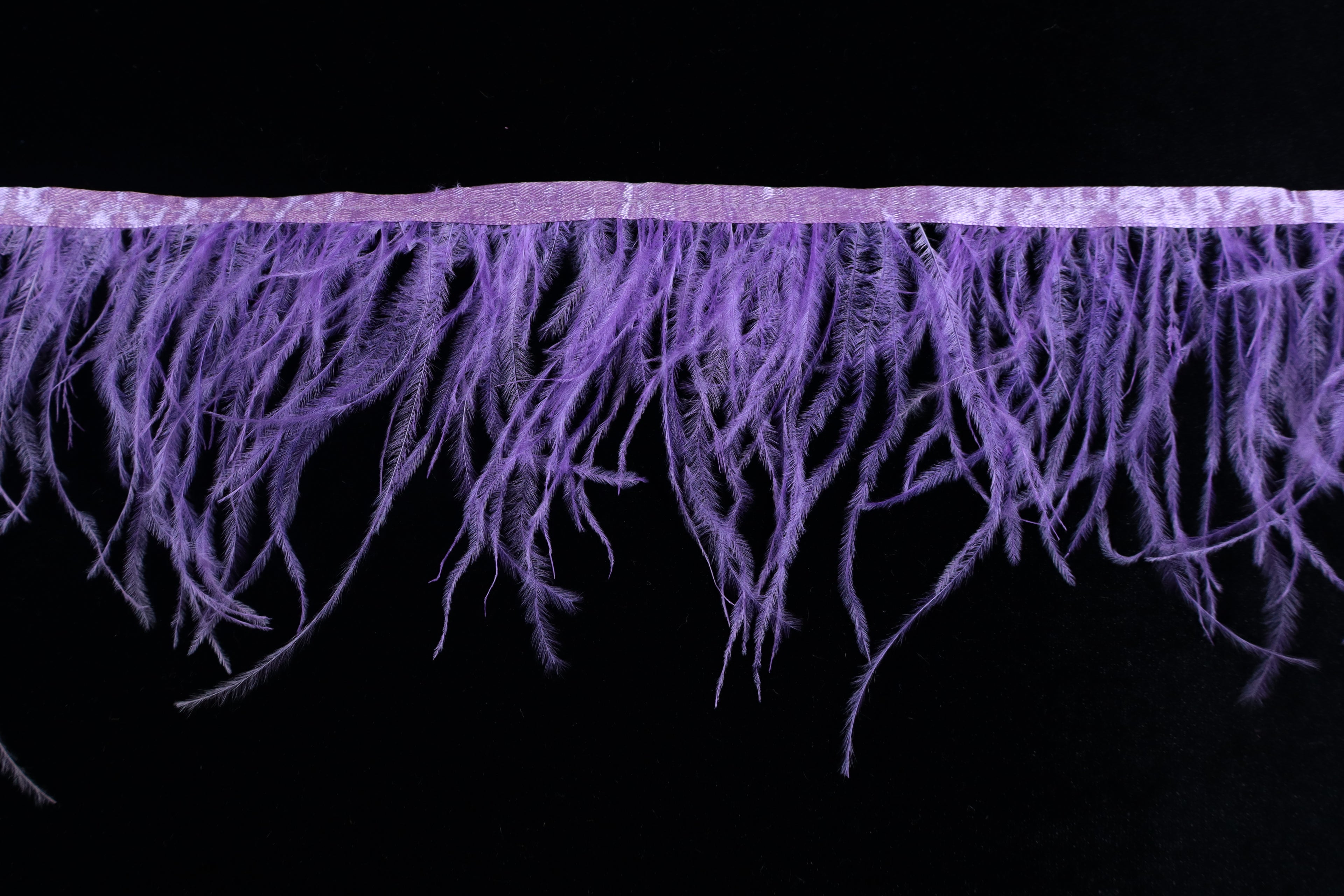 Ostrich Feather Fringe