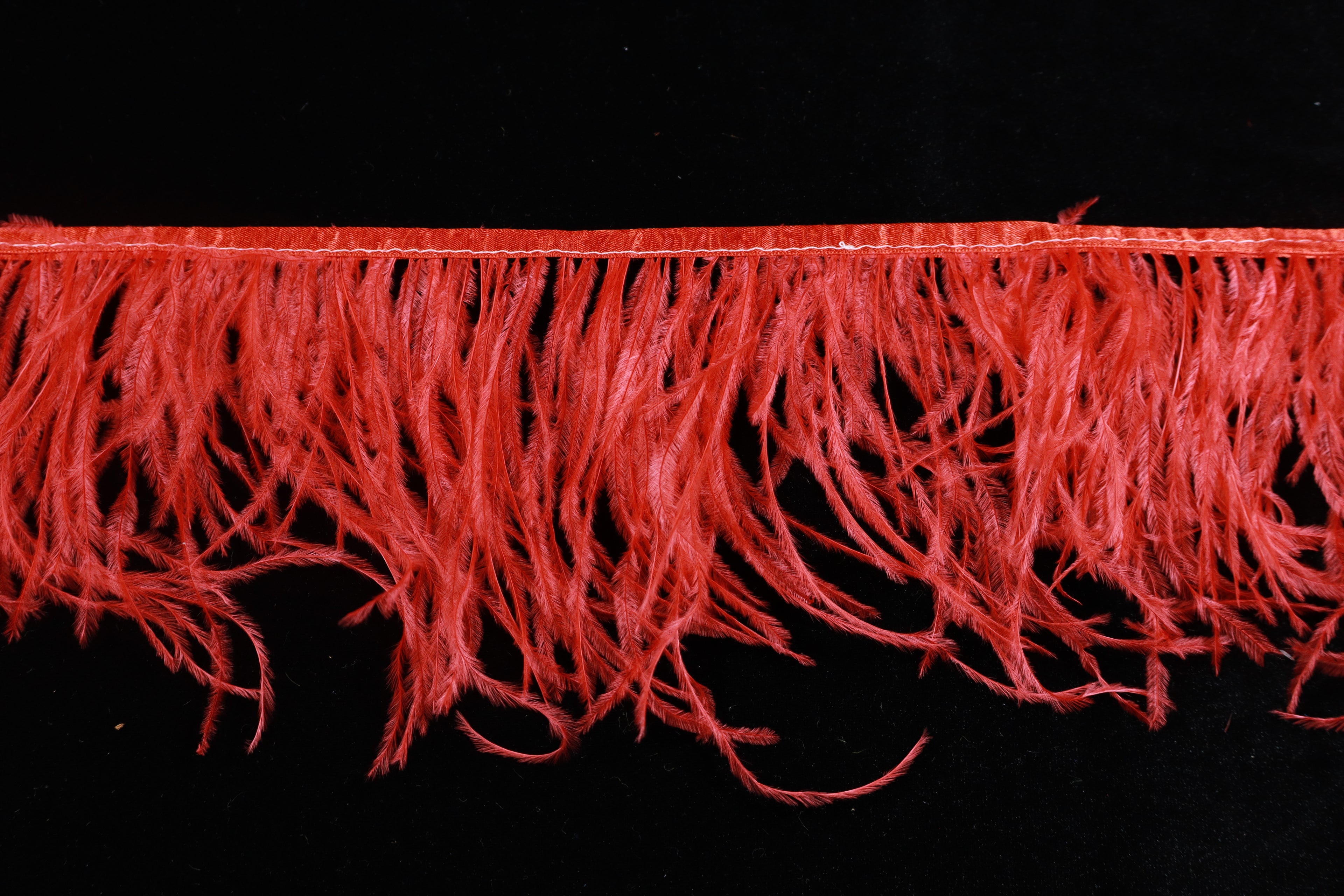 Ostrich Feather Fringe