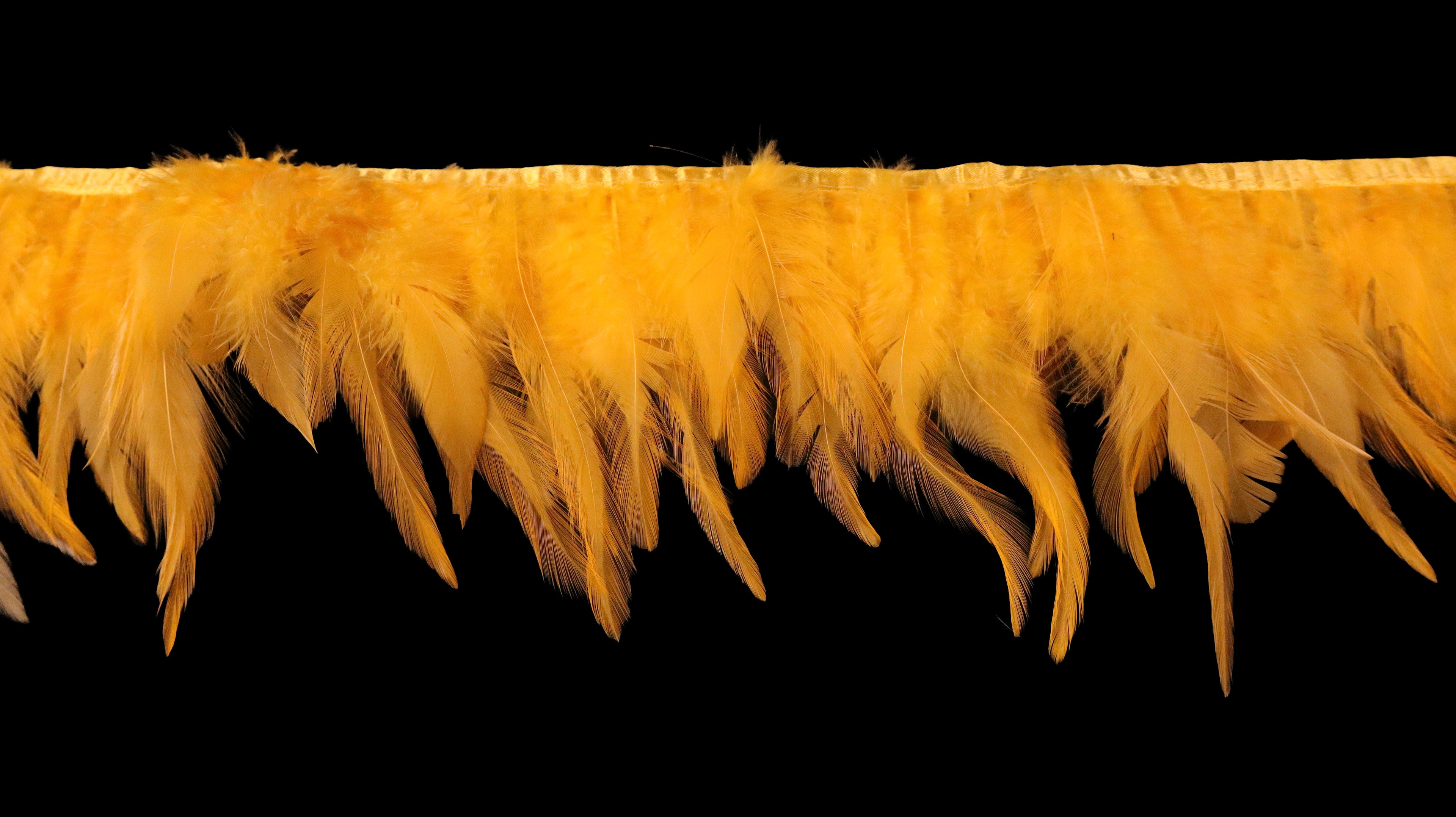 Rooster Feather Fringe