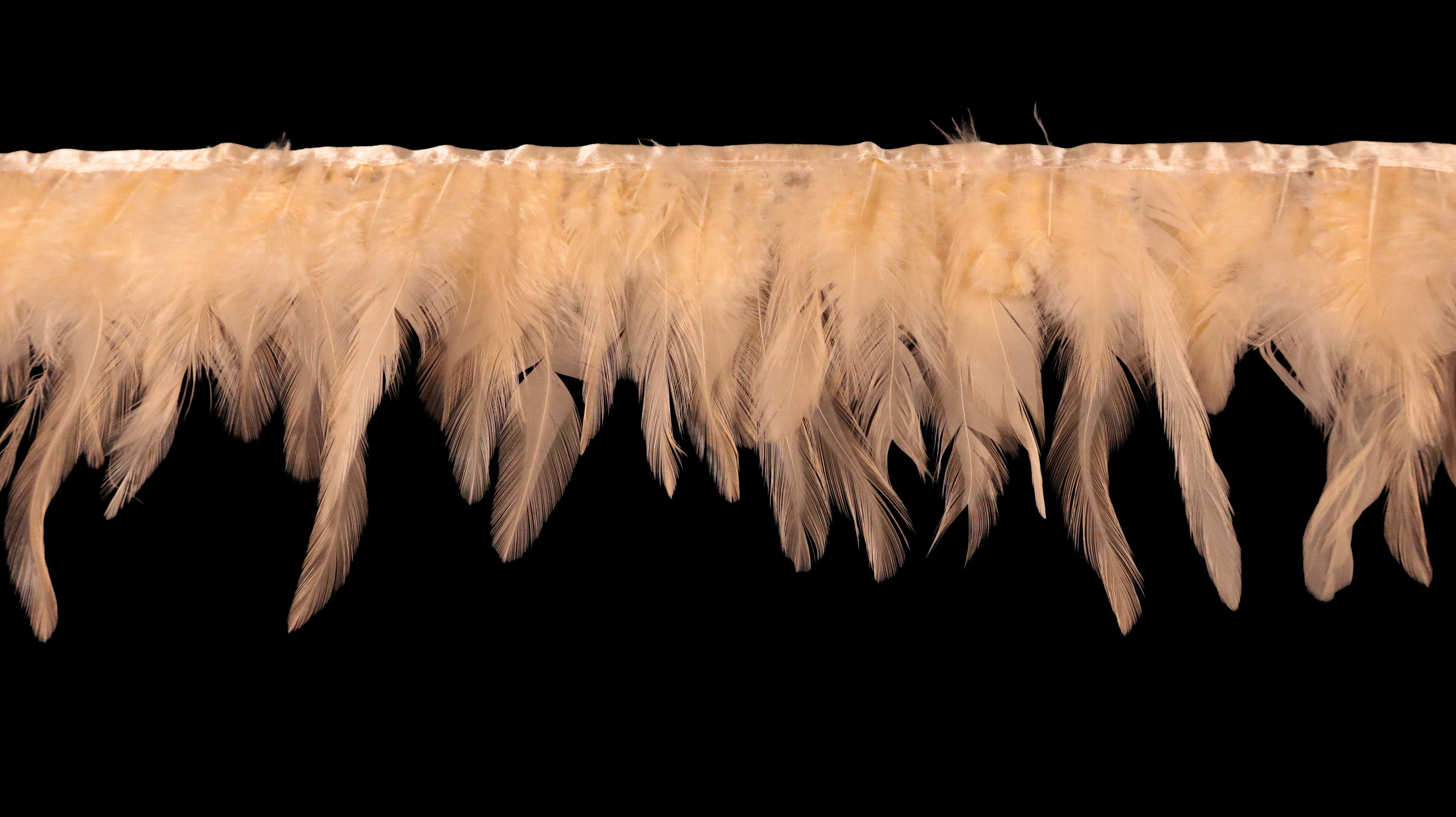 Rooster Feather Fringe