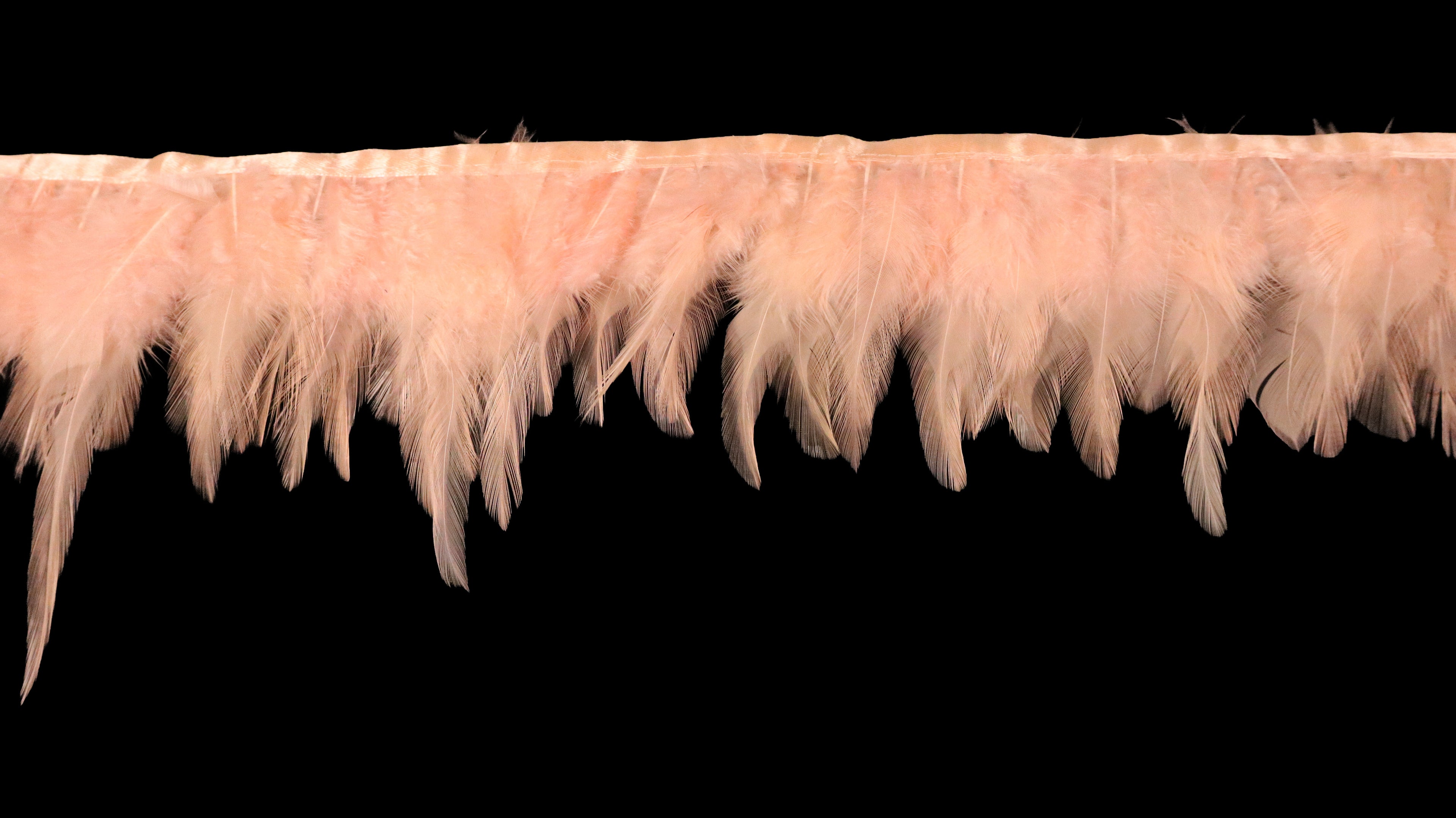 Rooster Feather Fringe