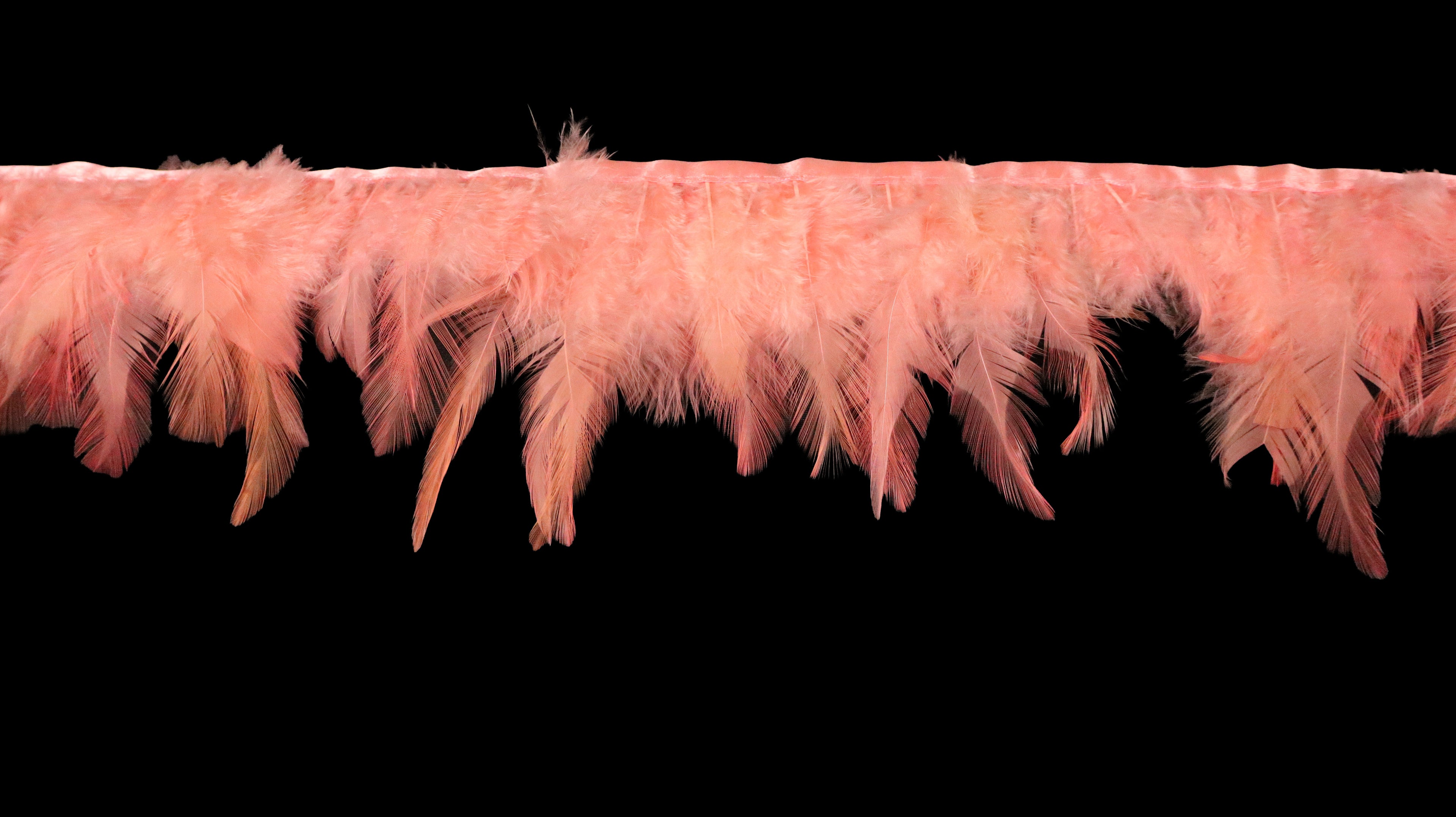 Rooster Feather Fringe