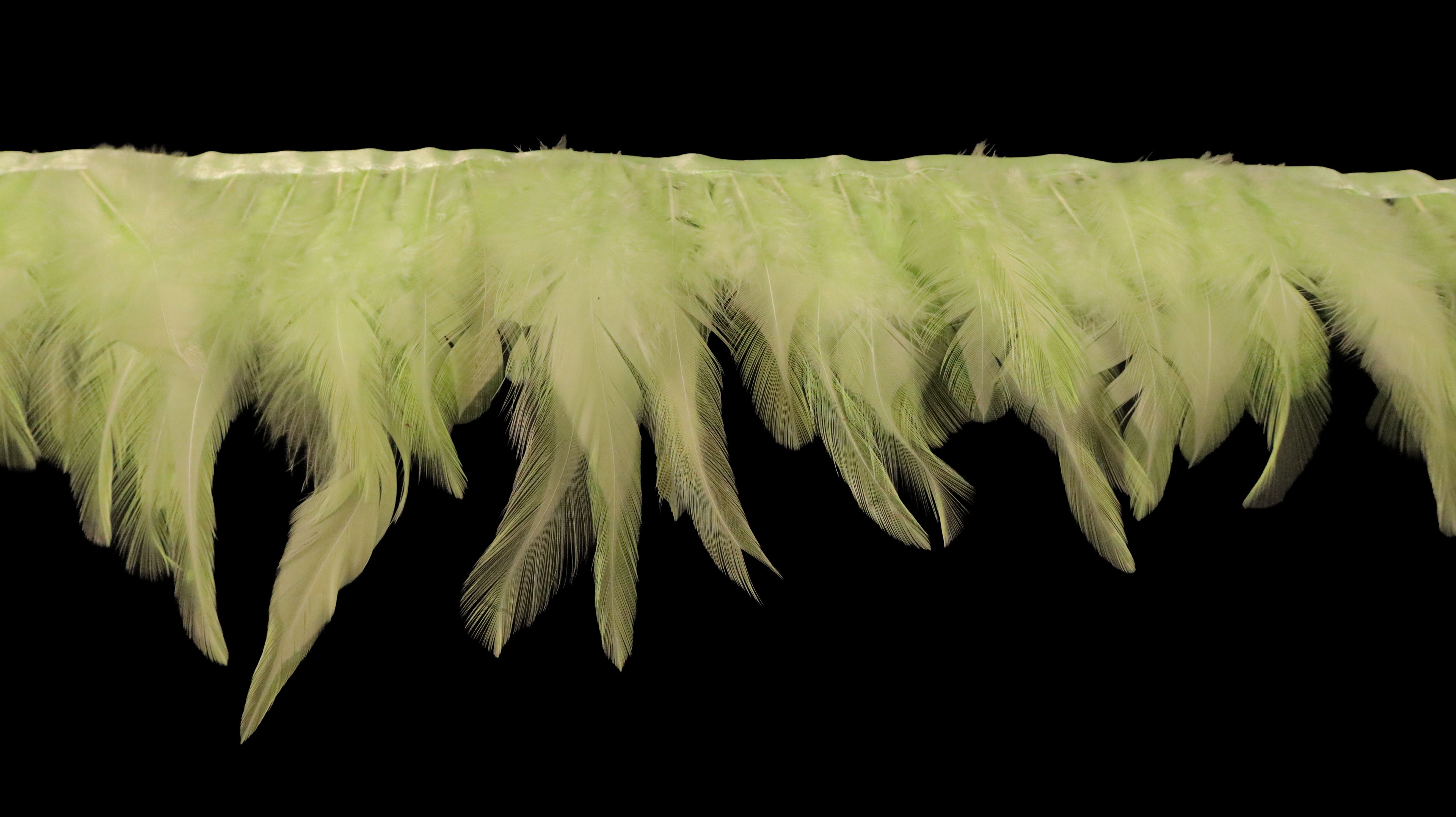 Rooster Feather Fringe