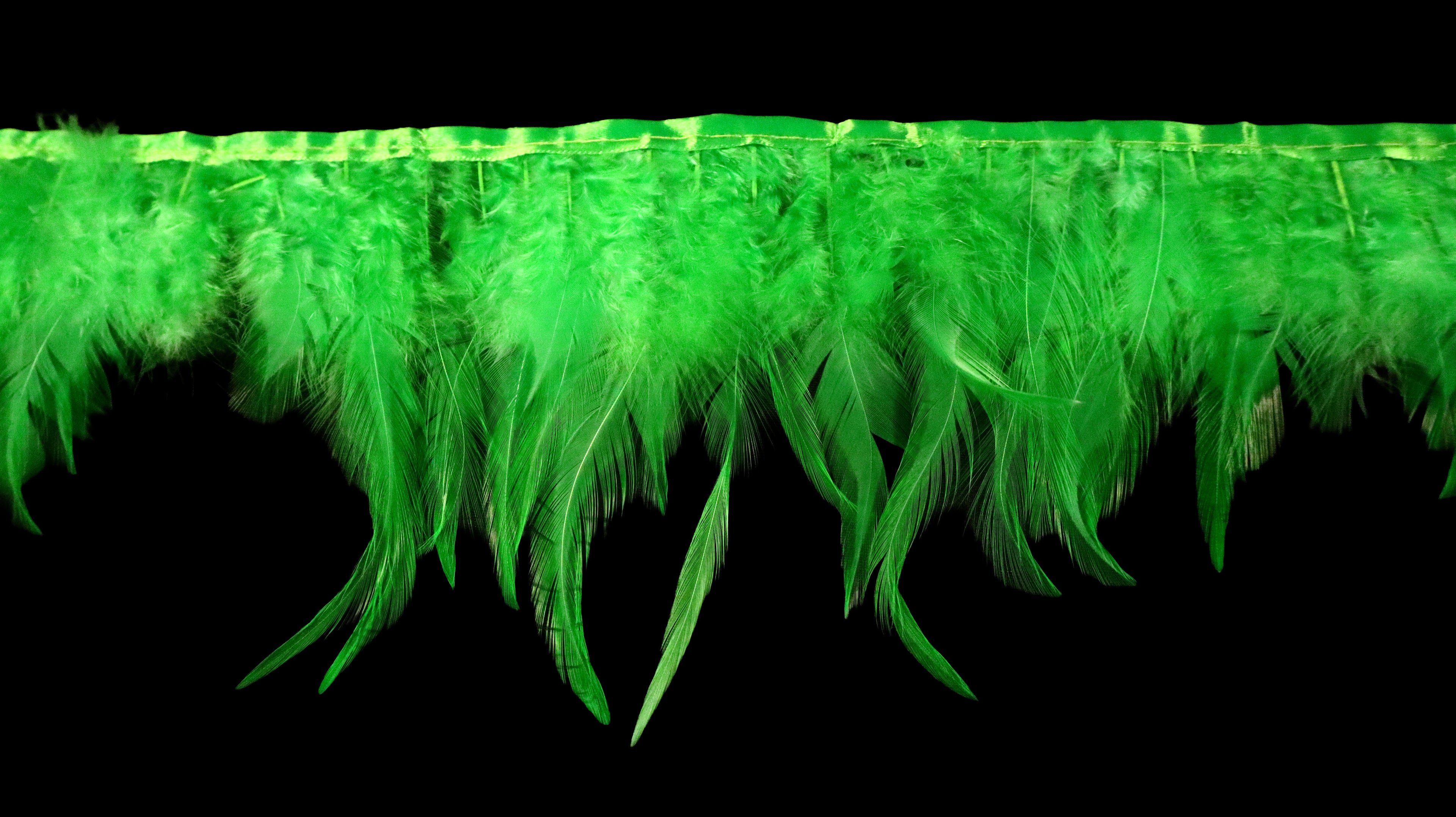 Rooster Feather Fringe