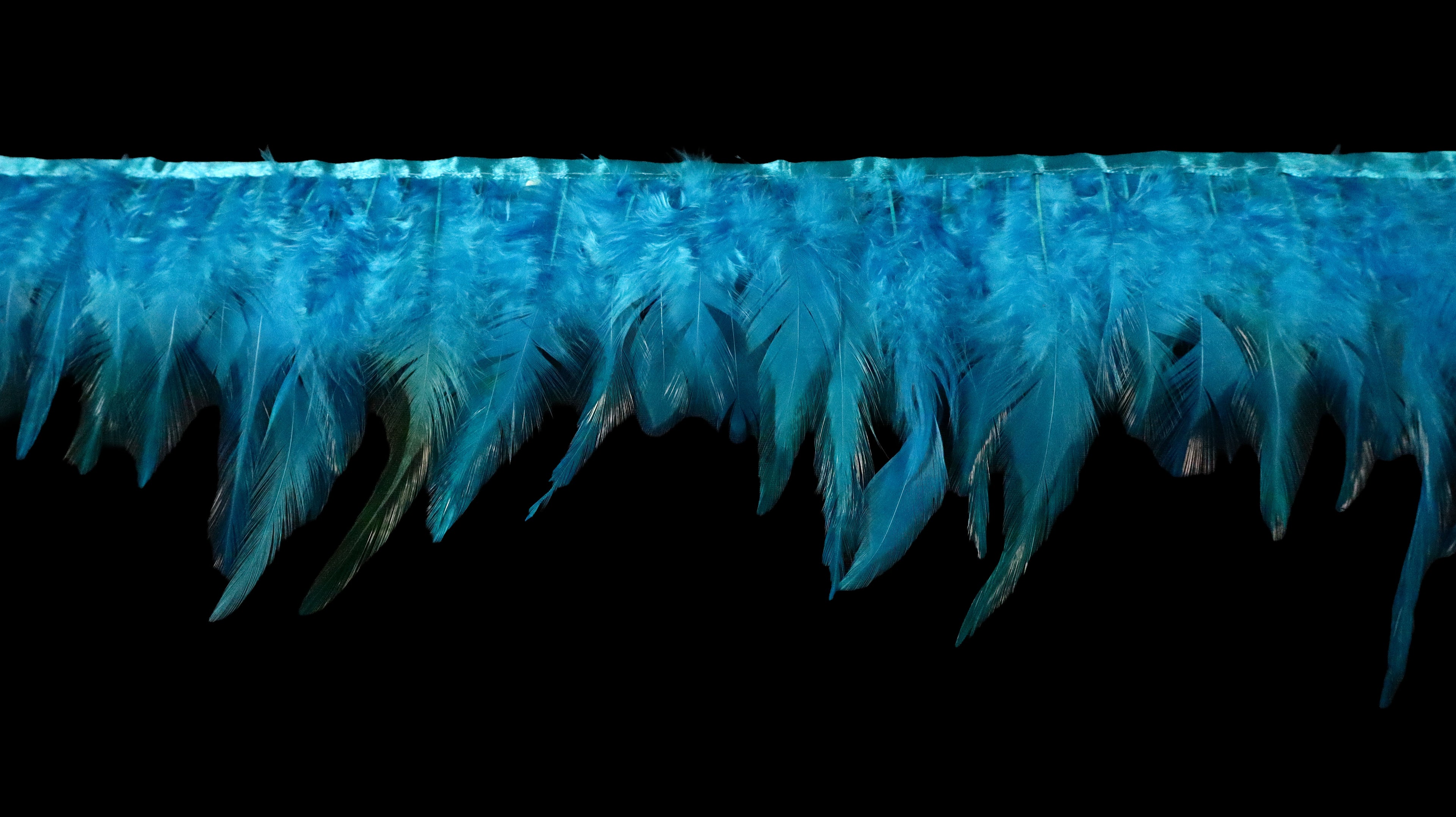 Rooster Feather Fringe