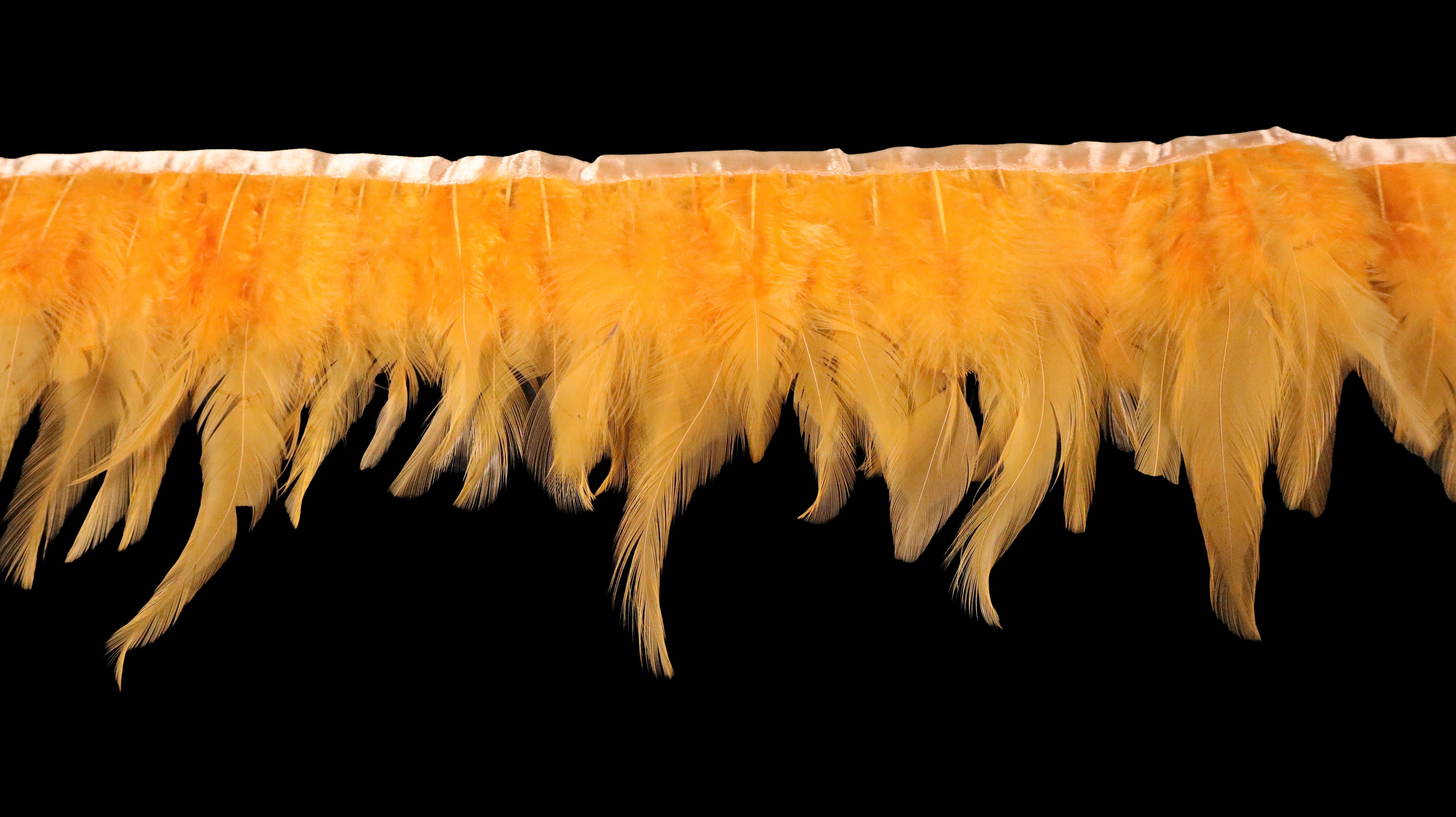 Rooster Feather Fringe