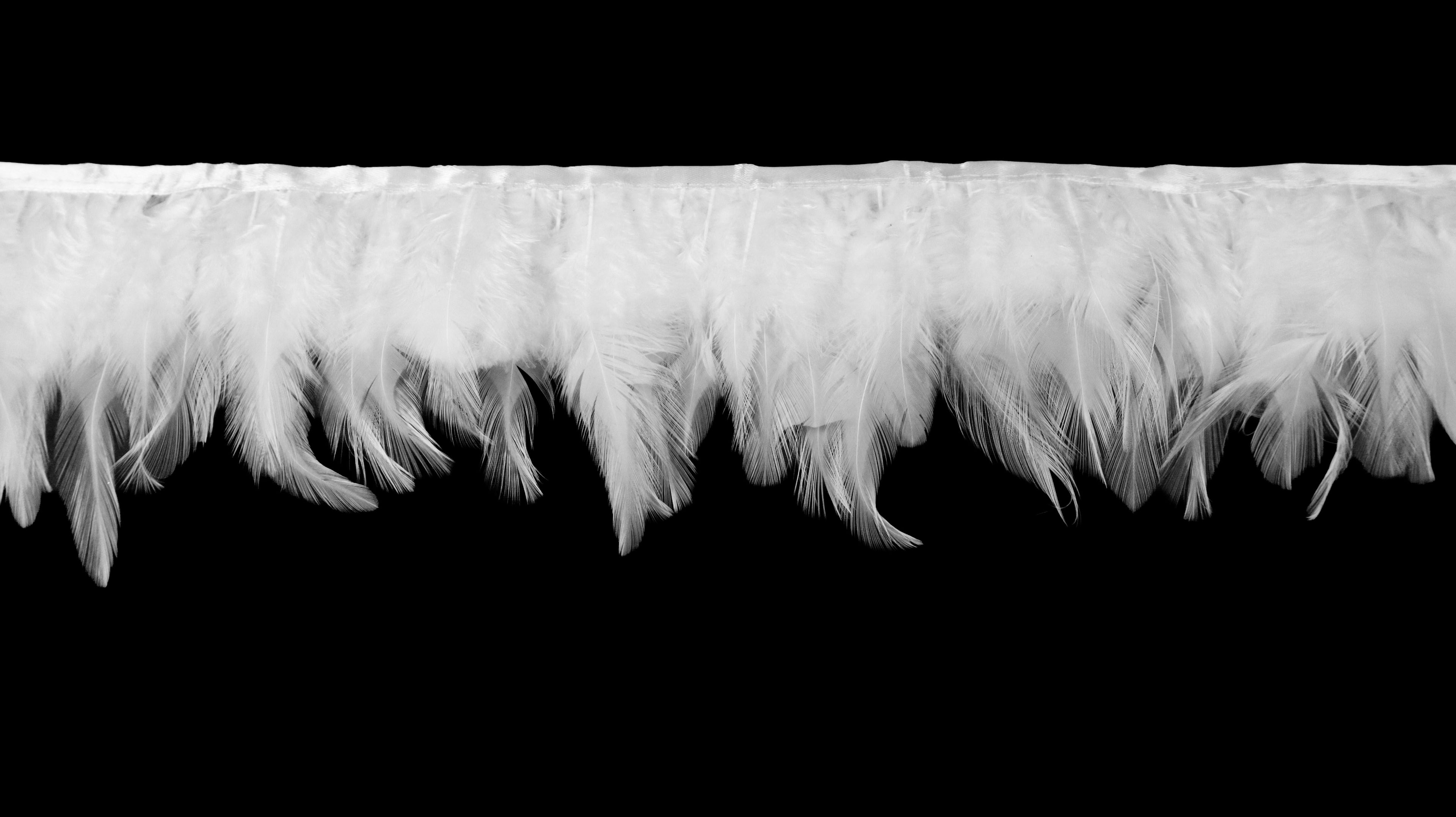 Rooster Feather Fringe