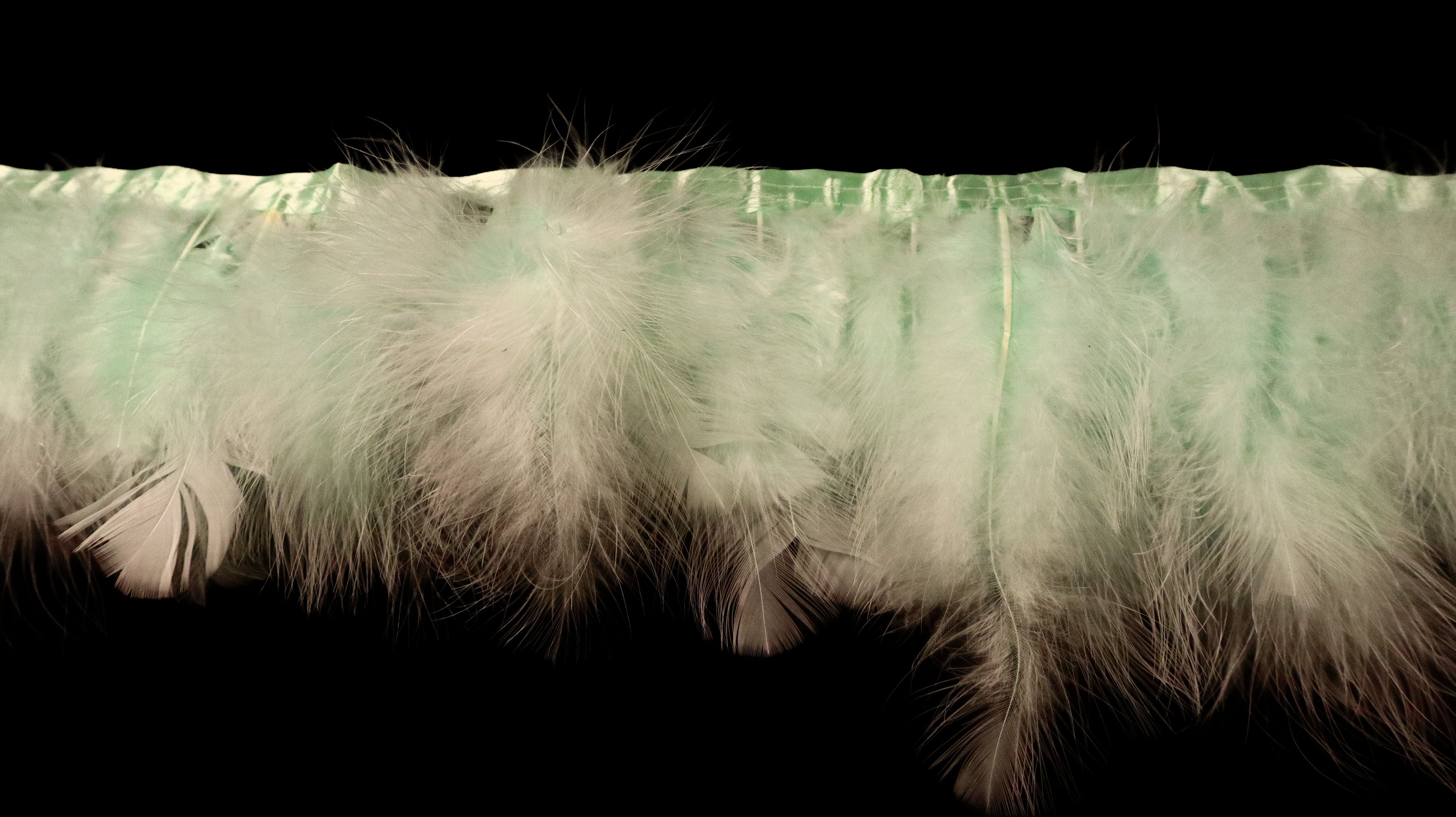 Turkey Feather Fringe